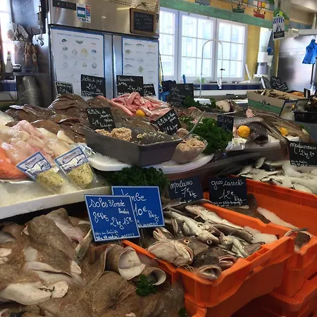 Senorita Dans Le Quartier Historique De Mers-les-bains, 100m De La